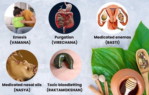 Best wellness hospital in Puthuppally