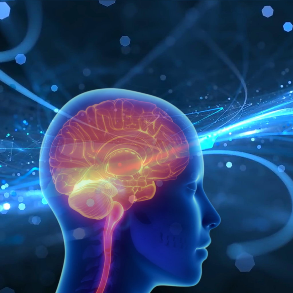 Neuropsychiatric Retraining Treatment in Puthuppally, Kottayam